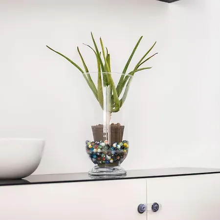 דירה Con Giardino Via Silvestri *