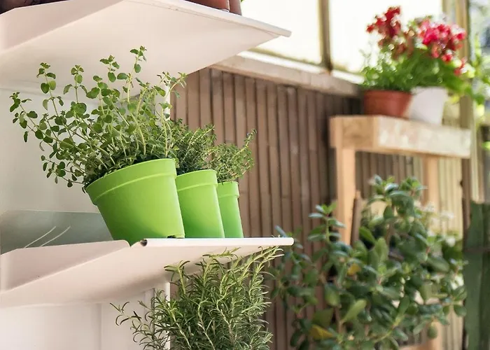 דירה Con Giardino Via Silvestri רומא